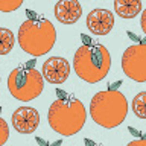 Meet your Posher, Molly